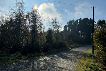 Parcela en  Puerto Montt, Llanquihue