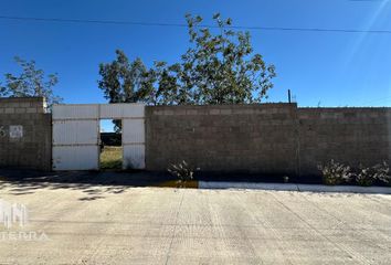 Lote de Terreno en  Ponce De León, Matamoros, Mariano Matamoros, Chihuahua, México