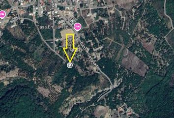 Lote de Terreno en  Calle José Martínez, Localidad El Aguacate, Tepic, Nayarit, 63507, Mex