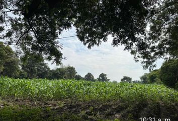 Lote de Terreno en  Itzamatitlán, Morelos, México