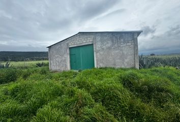 Lote de Terreno en  Carretera Cuautepec - San Lorenzo Sayula - E.c., Tepeapulco, Hidalgo, 43986, Mex