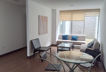 Suite en  Lugo & Guipuzcoa, Quito, Ecuador