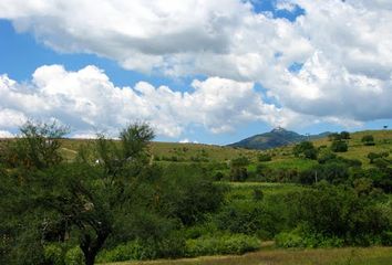 Lote de Terreno en  El Rodeo, Guanajuato, México