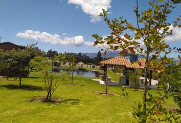 Terreno Comercial en  Tabacundo, Pedro Moncayo