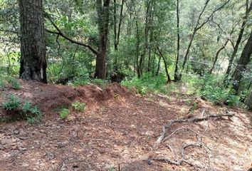 Lote de Terreno en  San Martín Cachihuapan, Estado De México, México