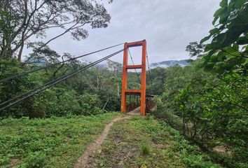 Terreno en  La Banda De Shilcayo, San Martin