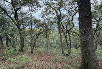 Lote de Terreno en  Villa Del Carbón, Estado De México, México