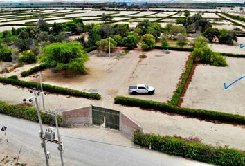 Terreno en  Salas, Ica, Per