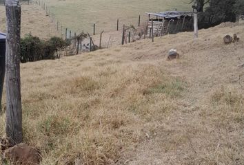 Lote de Terreno en  Juaica, Tenjo, Cundinamarca, Col