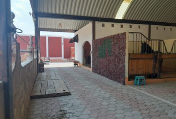 Rancho en  Cuadrilla De Enmedio, Dolores Cuadrilla De Enmedio, Querétaro, México