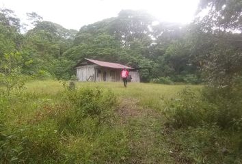 Terreno en  San Roque De Cumbaza, Perú