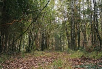 Parcela en  Lago Ranco, Lago Ranco, Futrono, Los Ríos, Chile