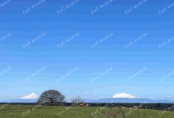 Parcela en  Los Muermos, Llanquihue