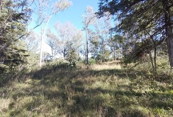 Lote de Terreno en  Amozoc Centro, Amozoc