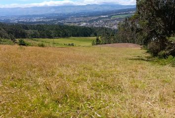 Terreno Comercial en  Uyumbicho, Mejia