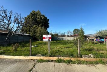 Parcela en  Calle Caupolicán, Paillaco, Valdivia, Los Ríos, 5220000, Chl