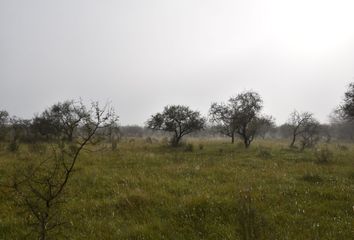 Terrenos en  Uruguay & Presidente Perón, Federal, Entre Ríos, Argentina