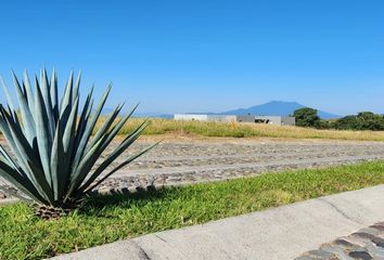 Lote de Terreno en  45226, Zapopan, Jalisco, Mex