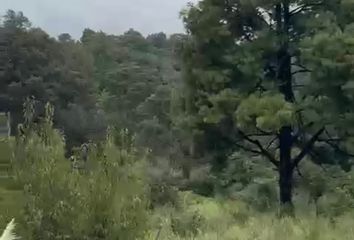 Lote de Terreno en  Hueypoxtla, Estado De México