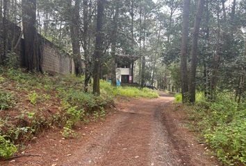 Lote de Terreno en  Santa María Ahuacatlan, Valle De Bravo