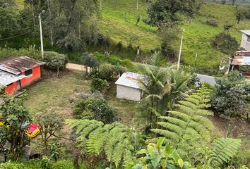 Terreno Comercial en  E28, Ecuador