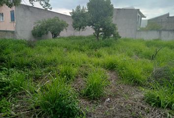 Lote de Terreno en  Las Fincas, Jiutepec, Morelos, México