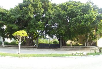 Lote de Terreno en  Avenida Eugenio Echeverría Castellot, Playa Norte, Ciudad Del Carmen, Campeche, México