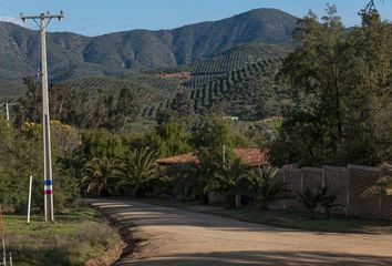 Parcela en  Curacaví, Melipilla