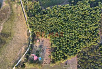 Terreno en  Yantaló, Moyobamba, San Martín, Per