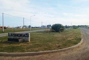 Terrenos en  Calle Néstor De Iriondo, Ricardone, San Lorenzo, Santa Fe, Arg