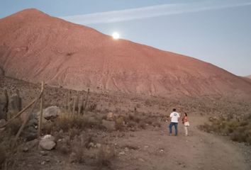 Parcela en  San Isidro, Valle Del Elquí, Vicuña, Chile