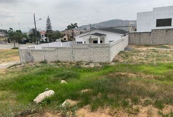 Terreno Comercial en  El Condado Vicolinci, Avenida León Febres Cordero Ribadeneyra, Ecuador