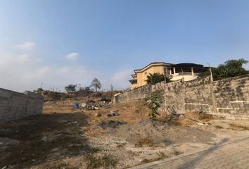 Terreno Comercial en  El Condado Vicolinci, Avenida León Febres Cordero Ribadeneyra, Ecuador