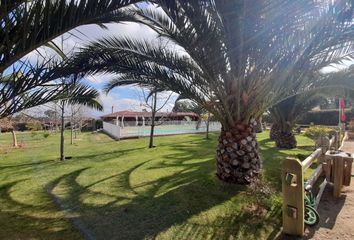 Parcela en  Colina, Chacabuco