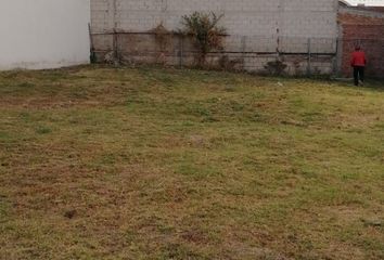 Lote de Terreno en  Santa Cruz Guadalupe, Puebla De Zaragoza, Puebla, México