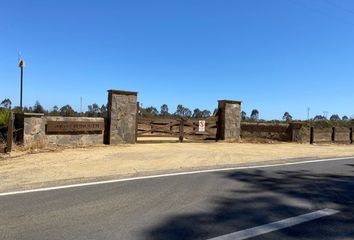 Parcela en  Algarrobo, San Antonio