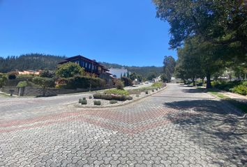 Terreno Comercial en  Miravalle, Nayón, Quito