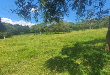 Lote de Terreno en  El Chico, Veracruz, México