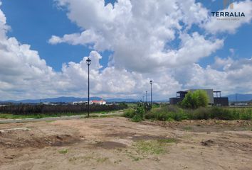 Lote de Terreno en  Zirándaro - Residencial & Golf, Querétaro, San Miguel De Allende, Guanajuato, México