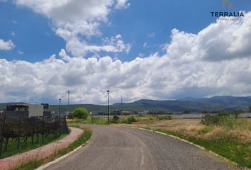 Lote de Terreno en  Zirándaro, Residencial Zirandaro, Ciudad Benito Juárez, Nuevo León, México