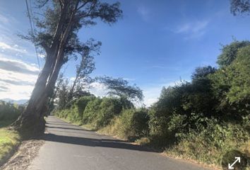 Terreno Comercial en  Puembo, Ecuador