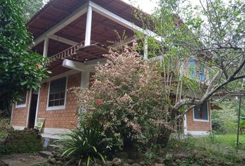 Terreno en  La Banda De Shilcayo, Tarapoto, Perú