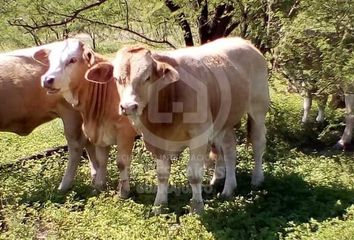 Rancho en  Nadadores, Coahuila