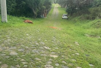 Lote de Terreno en  Fraccionamiento El Roble, El Arenal, Jalisco, México