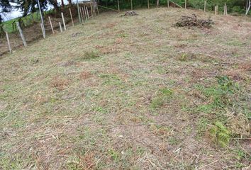 Lote de Terreno en  Jiguales, Calima, Valle Del Cauca, Colombia