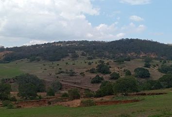 Lote de Terreno en  Huasca, San Jerónimo, Estado De Hidalgo, México