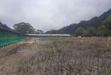 Terreno Comercial en  Vx62+4q Suropata, Ecuador