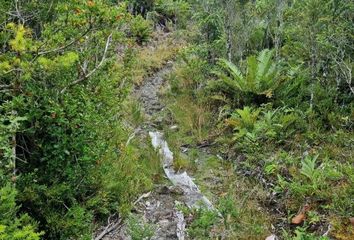 Parcela en  Fresia, Llanquihue