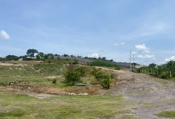 Lote de Terreno en  Tlaltizapán, Morelos, Mex