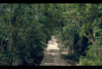 Lote de Terreno en  Carretera Ramal A Central Vallarta, Puerto Morelos, Quintana Roo, Mex